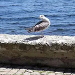 Seafront Im Apartment *